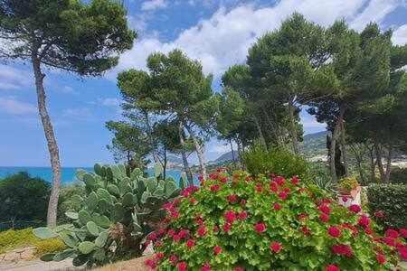 Cavallino Sea House Cefalù Exteriör bild